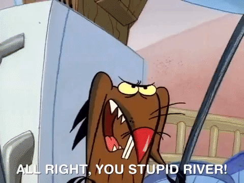 nickrewind giphydvr nicksplat angry beavers giphyab002 GIF