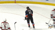 Anaheim Ducks Yes GIF by San Diego Gulls