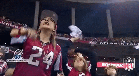 atlanta falcons GIF by NFL