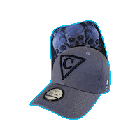 Baseball Hat Sticker by CapicheCaps