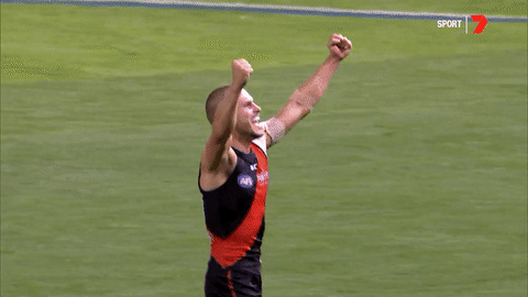 sport fans GIF by Essendon FC