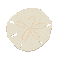 Deborahfwi caribbean shell seashell sanddollar Sticker