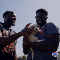 Animal Planet Football GIF by Puppy Bowl