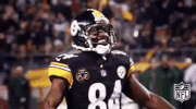 Pittsburgh Steelers Football GIF by NFL