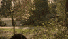 Postal Service Delivery GIF by IFHT Films