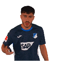 Bundesliga Sticker by TSG Hoffenheim
