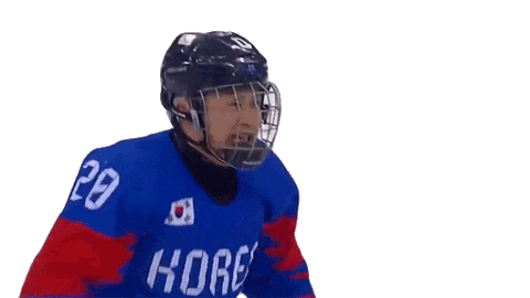 Winter Olympics Sport Sticker by International Paralympic Committee