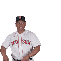 Red Sox Baseball Sticker by Boston Red Sox
