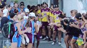 Tfa GIF by Touch Football Australia