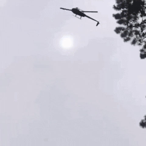 lietzche giphyupload GIF