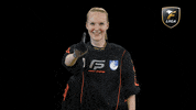 Floorball Salibandy GIF by F-liiga