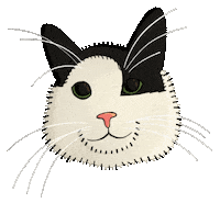 zehraozalay cat zehraozalay Sticker