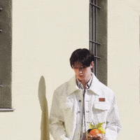 Stray Kids GIF