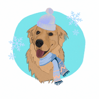 Choppergolden frio neve choppergolden GIF