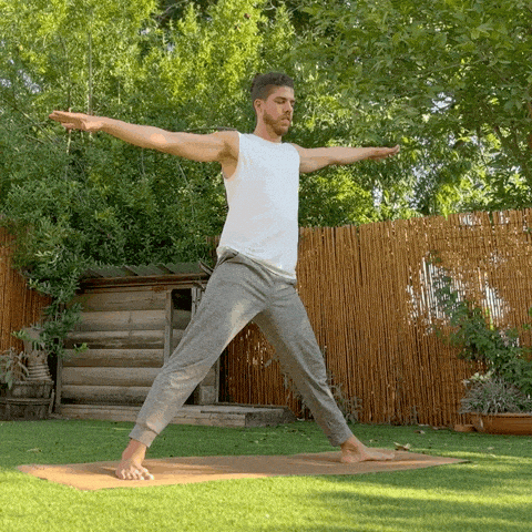 Idan_K giphyupload GIF