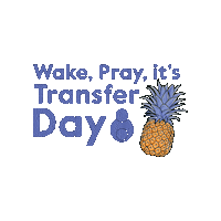 Pineapple Transfer Sticker by Circle Surrogacy