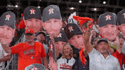 Alex Bregman Fans GIF by MLB