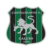 Calcio Abruzzo Sticker by asdcastelnuovocalcio