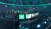 Team Win GIF by Rogue