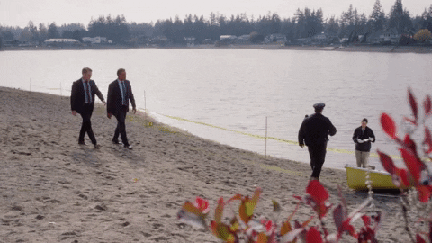 Television Show Crime GIF by Hallmark Mystery