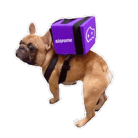 Dog Estamos Sticker by aiqfome