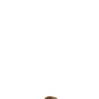 Happy Apres-Ski Sticker by Weeda Media