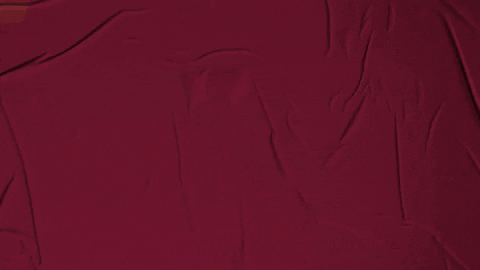 College Baseball GIF by Pearl River Athletics