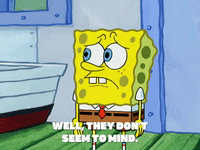 season 5 new digs GIF by SpongeBob SquarePants