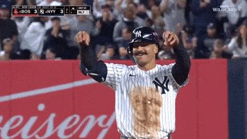 Celebrate New York Yankees GIF by MLB