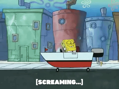 season 5 GIF by SpongeBob SquarePants