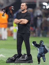 Hashonor galatasaray fenerbahçe fener galata GIF