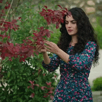 Drama La Promesa GIF by Eccho Rights