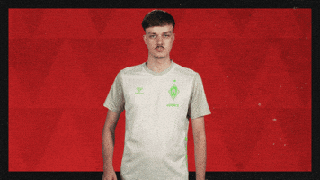 Werder Bremen Football GIF by Bundesliga