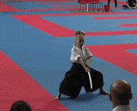 kick katana GIF