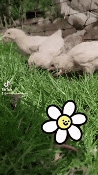 Kids Children GIF