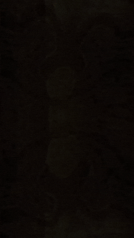 Dm7Group GIF by DM7 Bookings