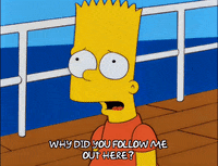 bart simpson episode 20 GIF