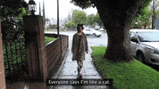 Sassy Cat Lady GIF