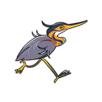 Firuo_drawingbirds heron 鷺 purple heron ardea purpurea Sticker