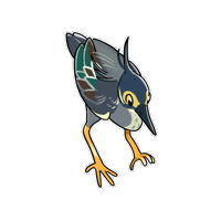 Firuo_drawingbirds heron 鷺 綠簑鷺 butorides atricapilla Sticker