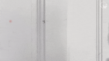 Alan Resnick's Enterings