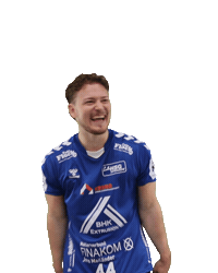 Handball Sticker by HSGSpradow