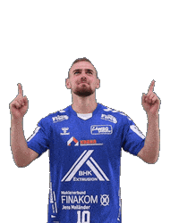 Handball Sticker by HSGSpradow