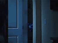 Hiding Spying GIF by Filthy Animals