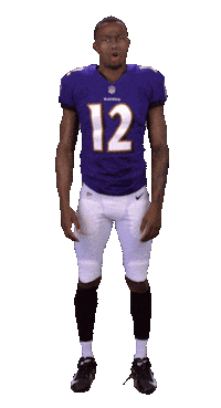 Baltimore Ravens Sticker Sticker by NFL