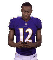 baltimore ravens sticker by NFL