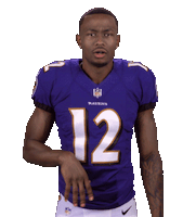 Baltimore Ravens Sticker Sticker by NFL