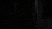 Tobe Hooper Horror GIF by Coolidge Corner Theatre