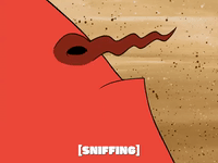 season 6 episode 3 GIF by SpongeBob SquarePants