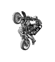 Spartmotard biker stunt wheelie ktm Sticker